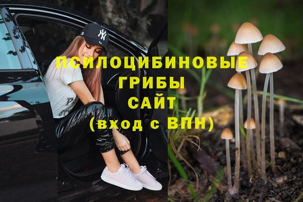 apvp Абинск