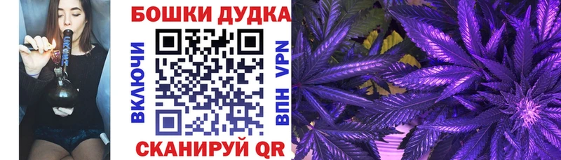 Бошки марихуана MAZAR  Брюховецкая 